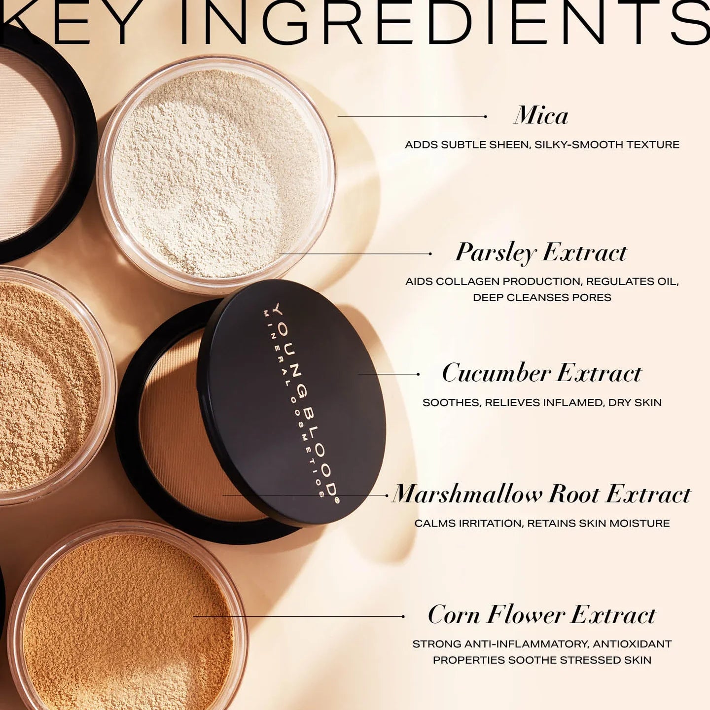 Youngblood | Mineral Rice Setting Powder Dark