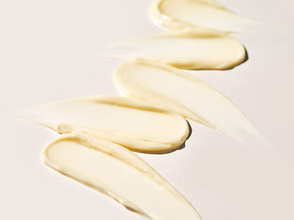 Image | Travel Size AGELESS+ Retinol - Treatment Crème 1.2% Retinol Complex - Delizia Skincare