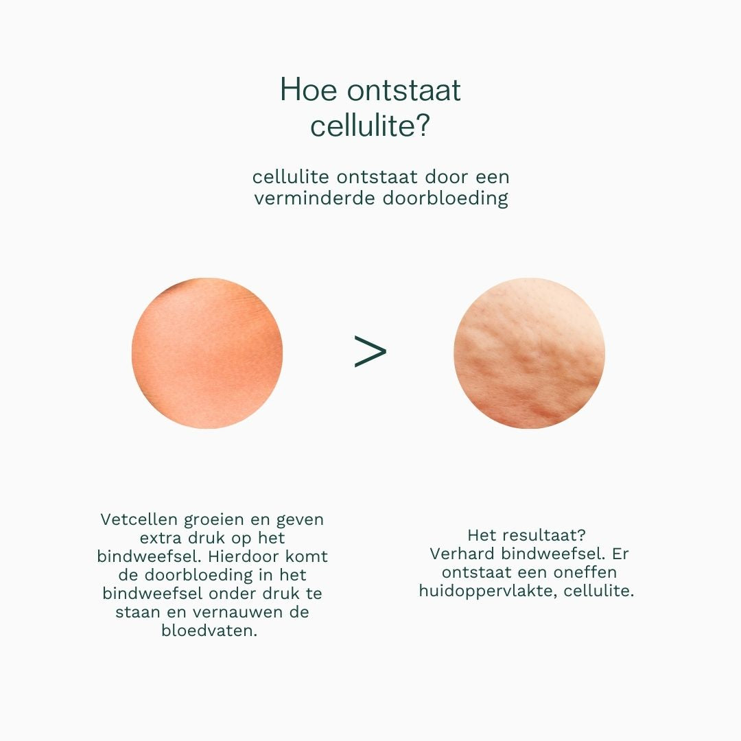 Insentials | Fat Burner - Delizia Skincare