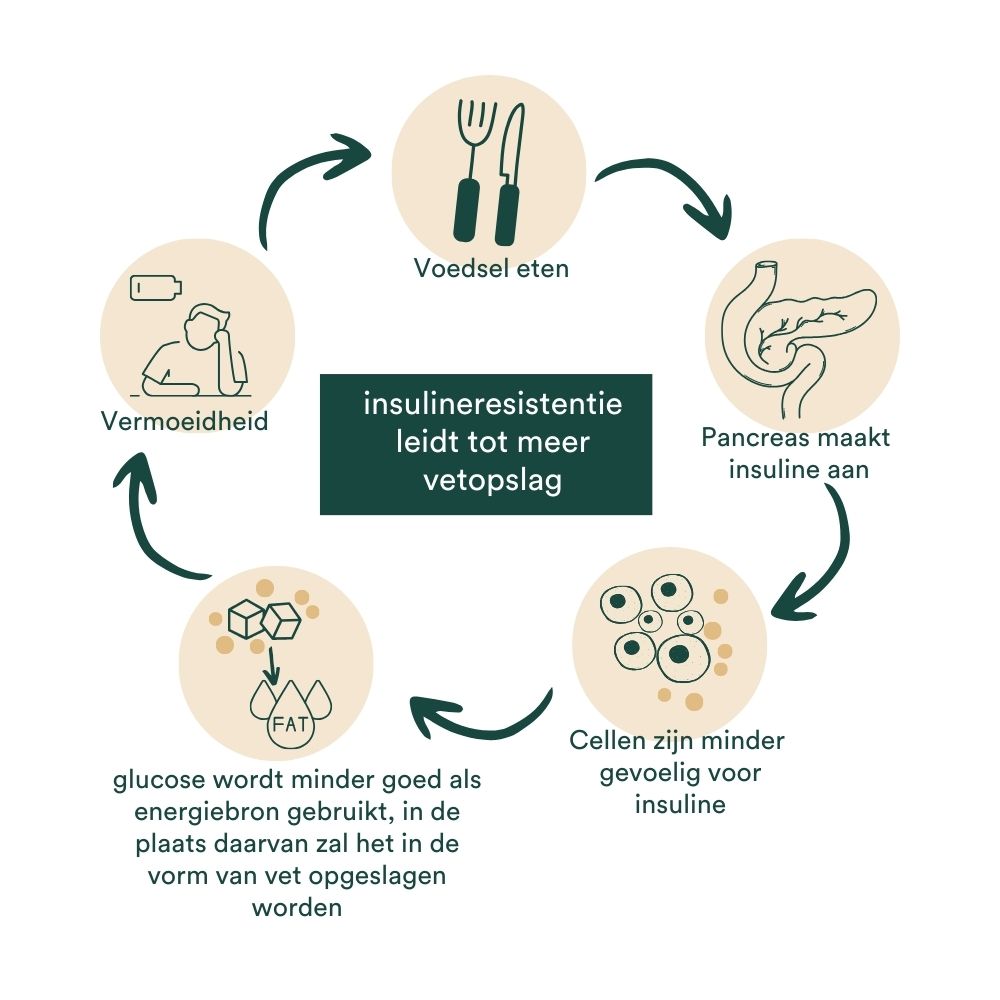 Insentials | Detox Weight Pack - Delizia Skincare