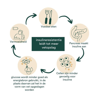 Insentials | Detox Weight Pack - Delizia Skincare