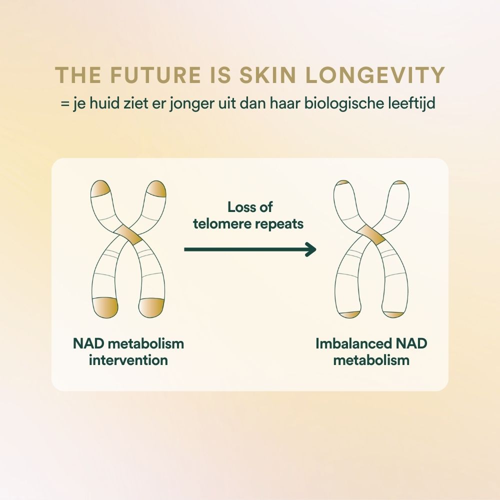 Insentials | Inner Beauty H5-NADH™ - Delizia Skincare