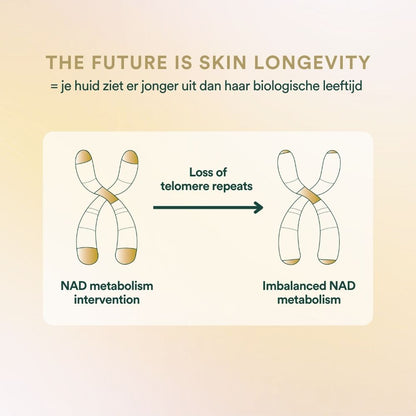 Insentials | Anti-Aging Pack - Delizia Skincare