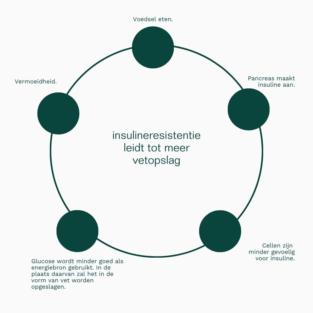 Insentials | Fat Burner - Delizia Skincare