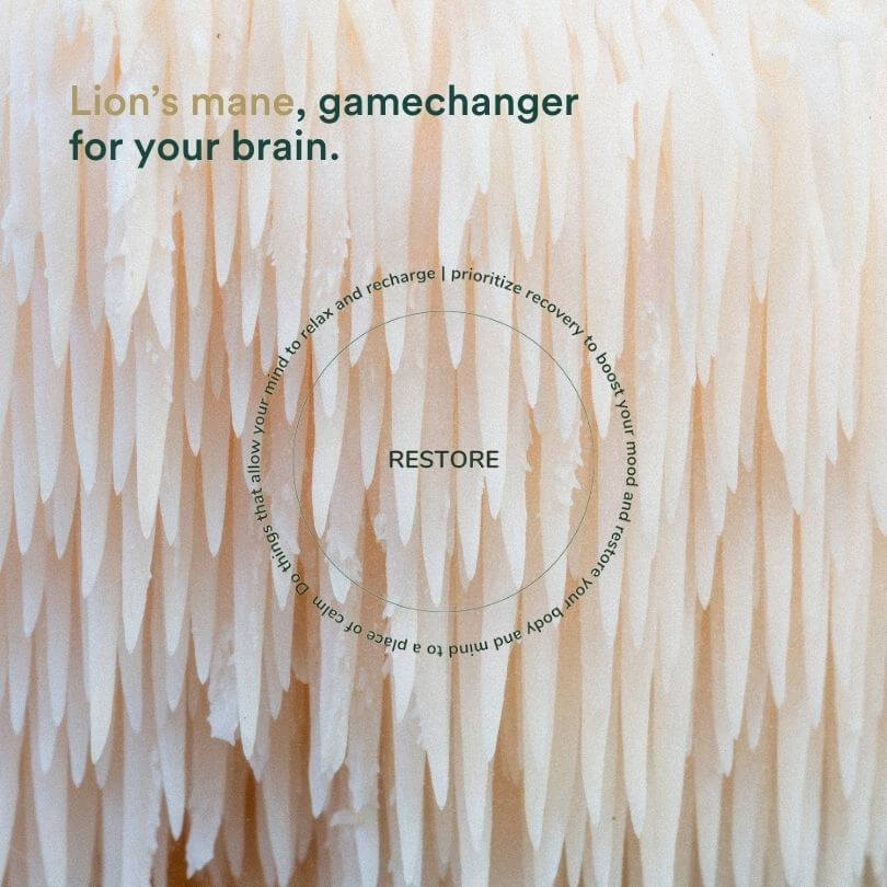 Insentials | NRM3+ - Delizia Skincare