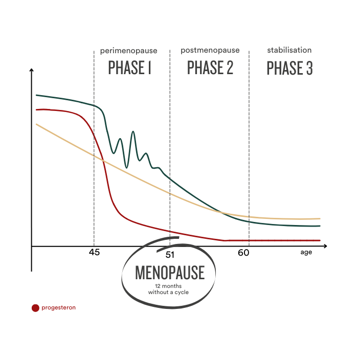Insentials | Meno Move - Delizia Skincare