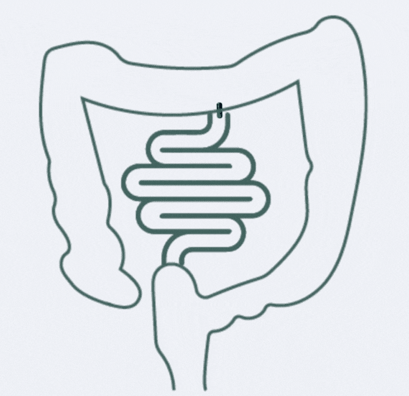 Insentials | Smart Vitamins for her - Delizia Skincare