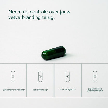 Insentials | Fat Burner - Delizia Skincare