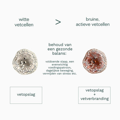 Insentials | Fat Burner - Delizia Skincare